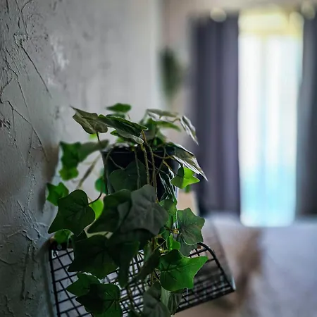 Cozy Homez-palace Of Parliament By Chr Luxury *