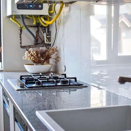 Cozy Homez-palace Of Parliament By Chr Luxury *