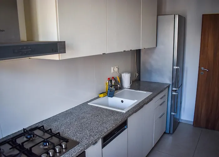 Cozy Homez-palace Of Parliament By Chr Luxury * Bukarest