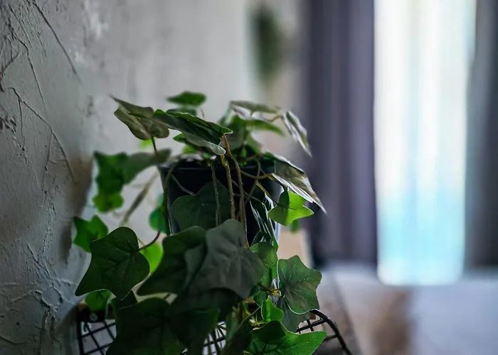 Cozy Homez-palace Of Parliament By Chr Luxury *